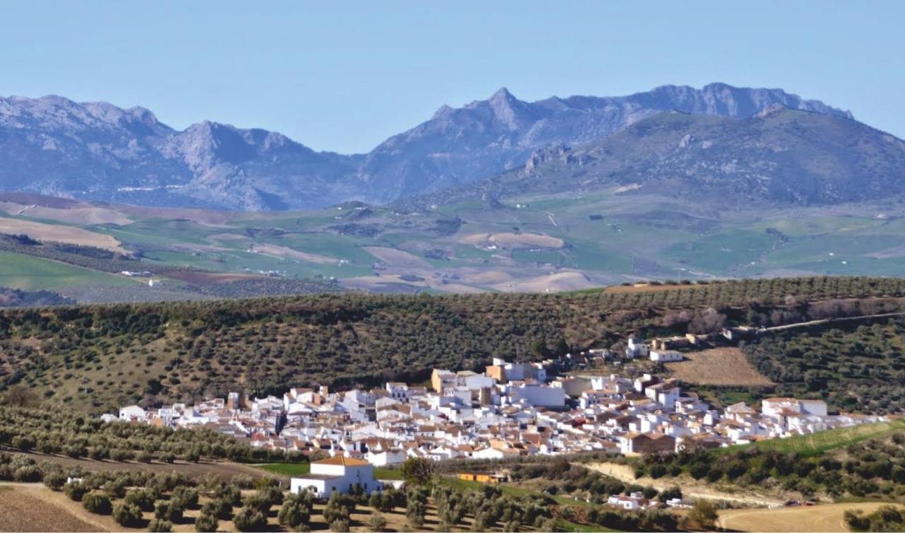 Molino Romano Alcalá del Valle 外观 照片